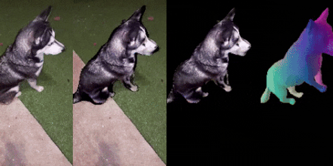 AnimalAvatar